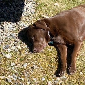 Meet your Posher, Haylie